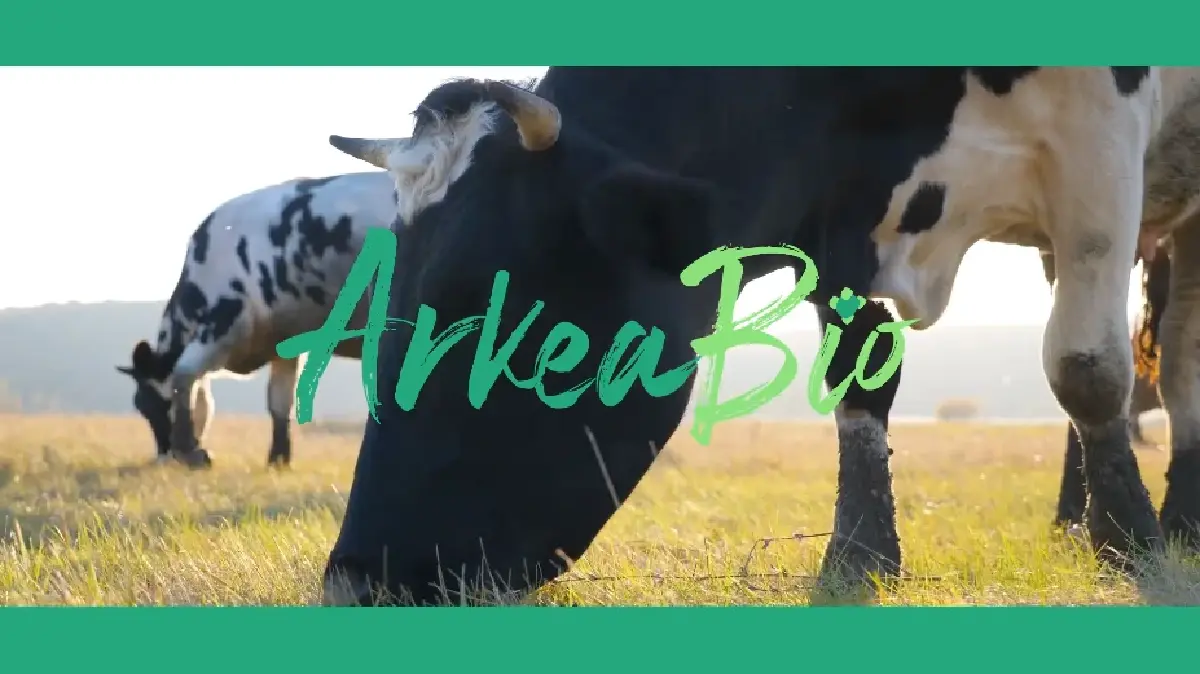 วัคซีนลดมีเทนในตดวัว ตัวช่วยใหม่กู้วิกฤตโลกร้อน?