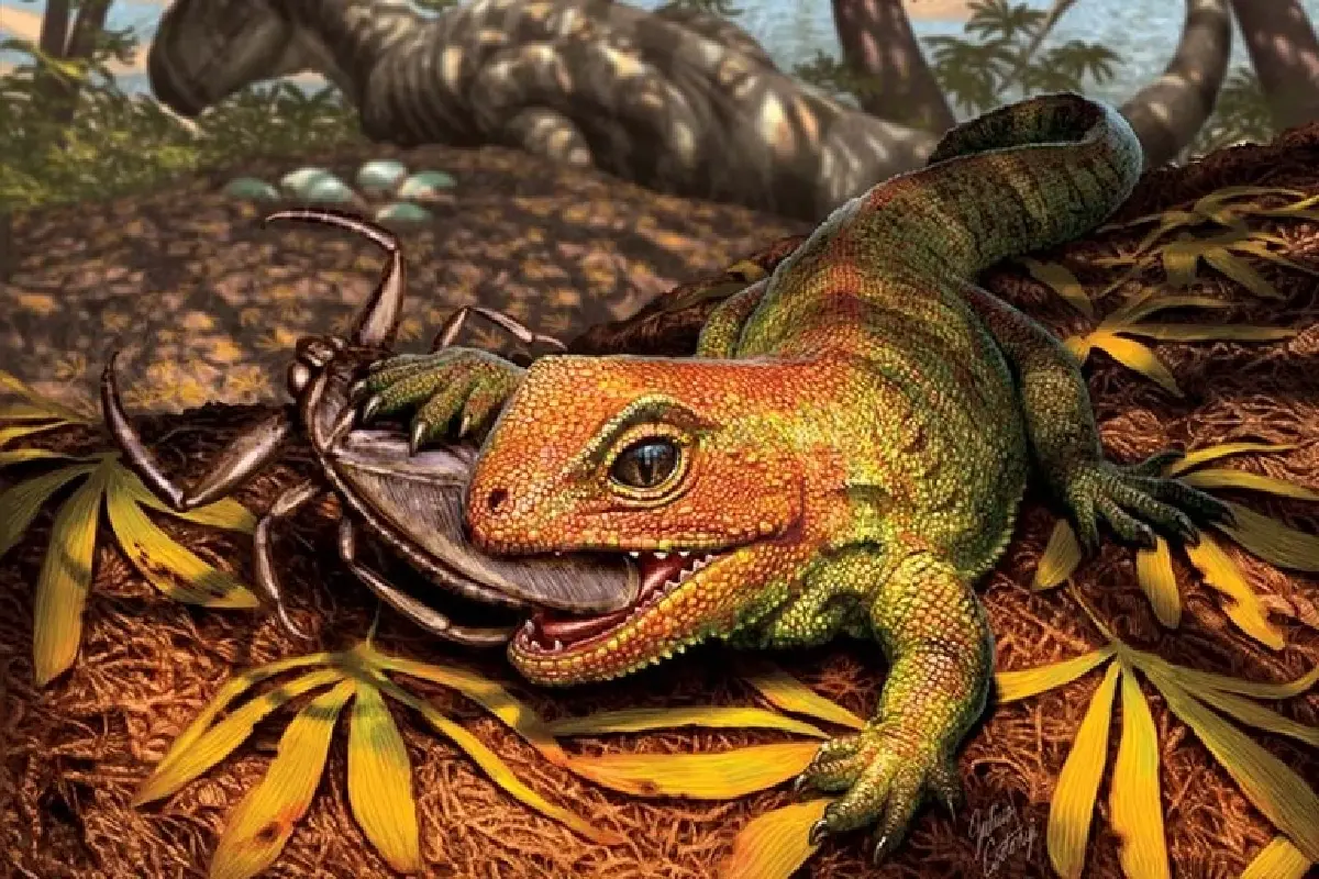 กิ้งก่าอายุ 200 ล้านปี! นักวิทยาศาสตร์พิพิธภัณฑ์พบ 351 สปีชีส์ใหม่ในปี 2022