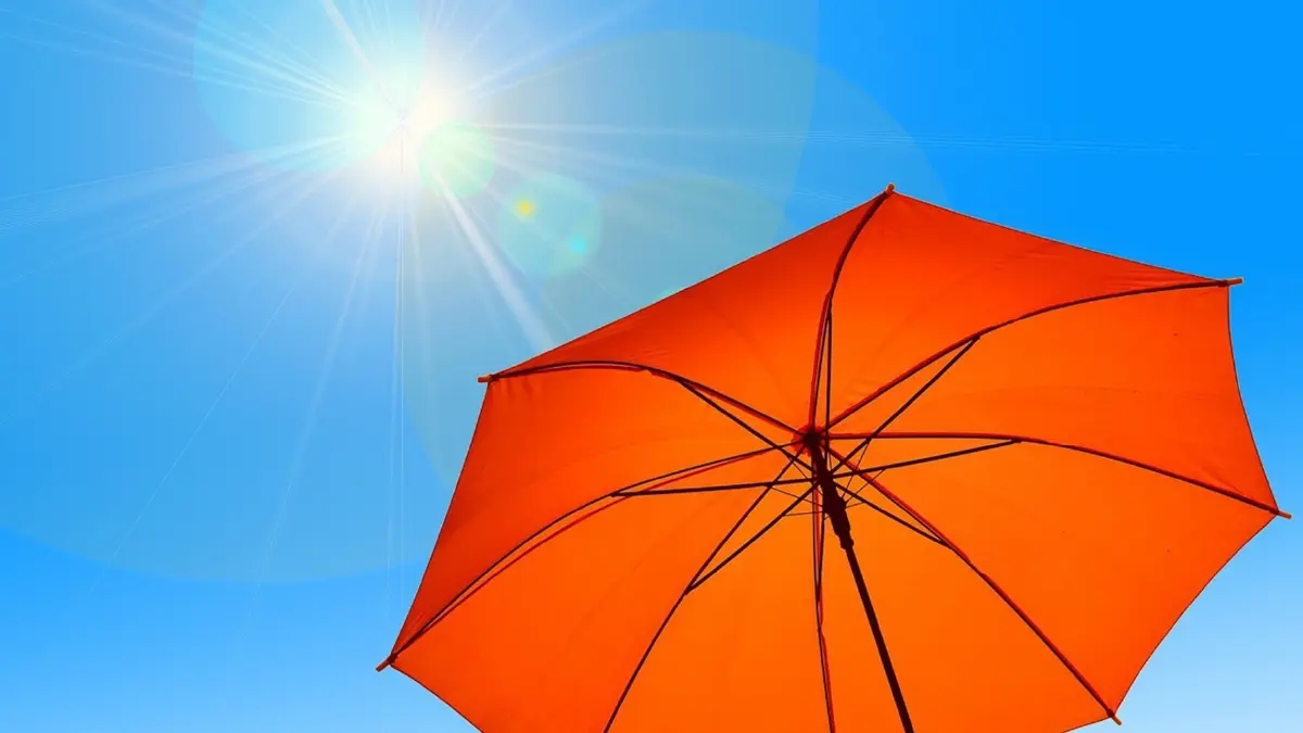 Resilience Building หนทางรอดของสังคมไทยต่อการสู้ภัยโลกรวน