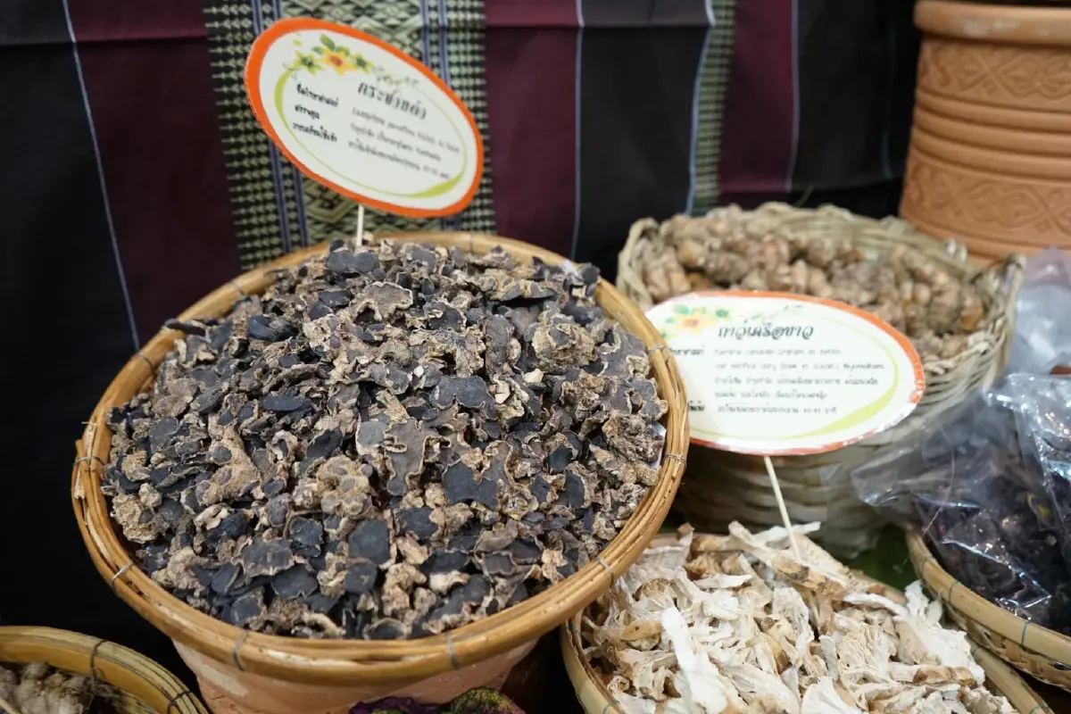 15 สมุนไพร เป็น Herbal Champions สร้างมูลค่าทางเศรษฐกิจวางเป้าสู่ตลาดโลก