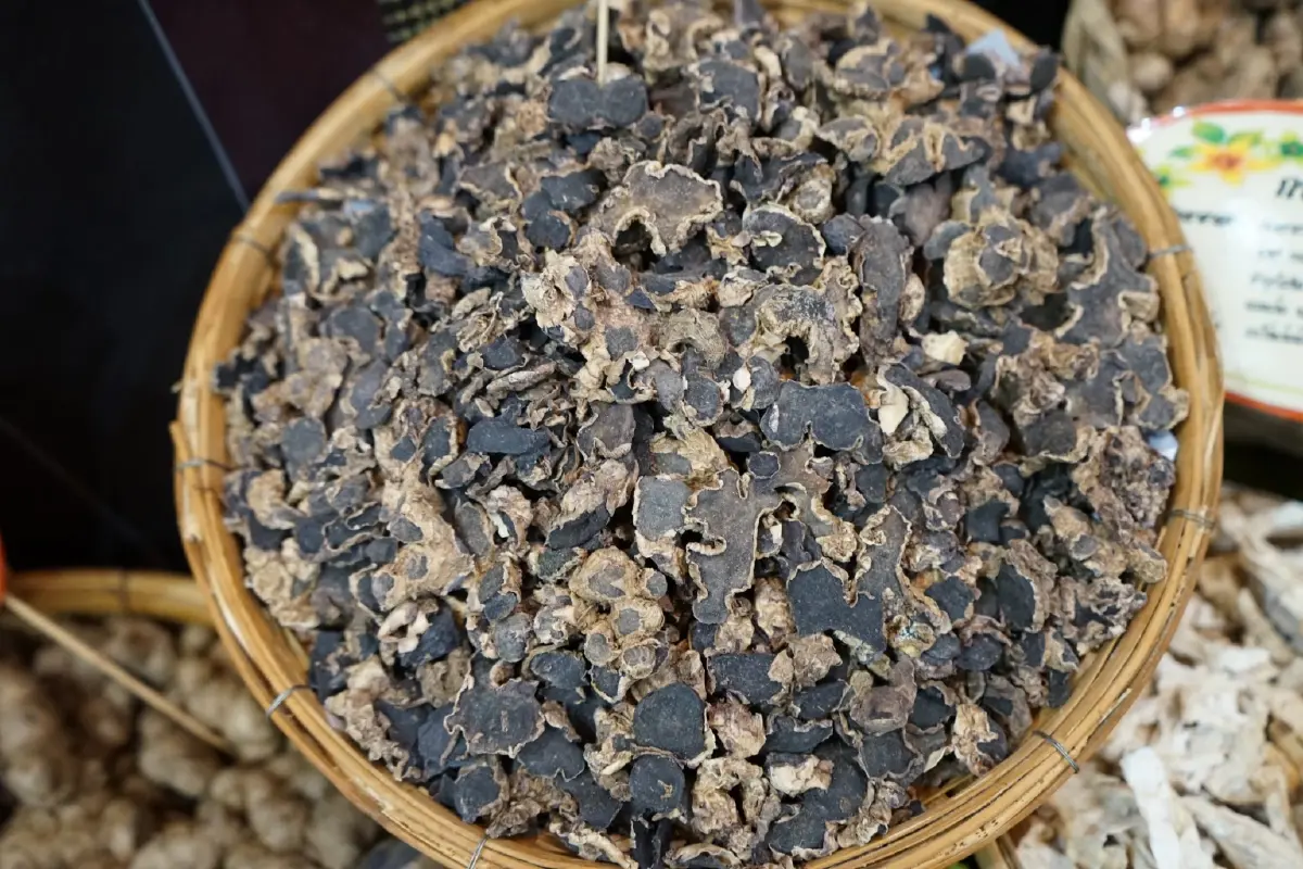 15 สมุนไพร เป็น Herbal Champions สร้างมูลค่าทางเศรษฐกิจวางเป้าสู่ตลาดโลก