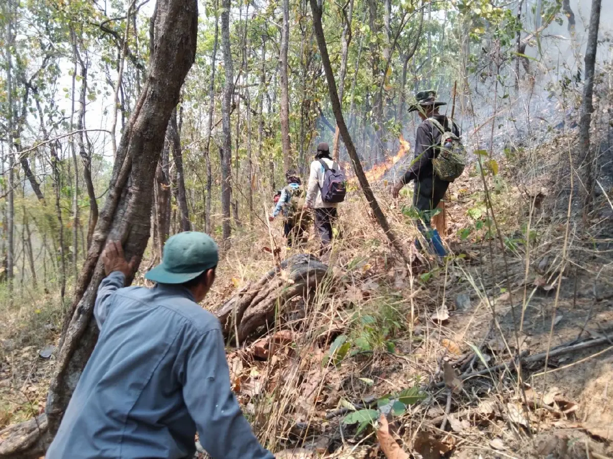 วิจัยพบ PM2.5 ผ่านเข้าสู่กระแสเลือดได้