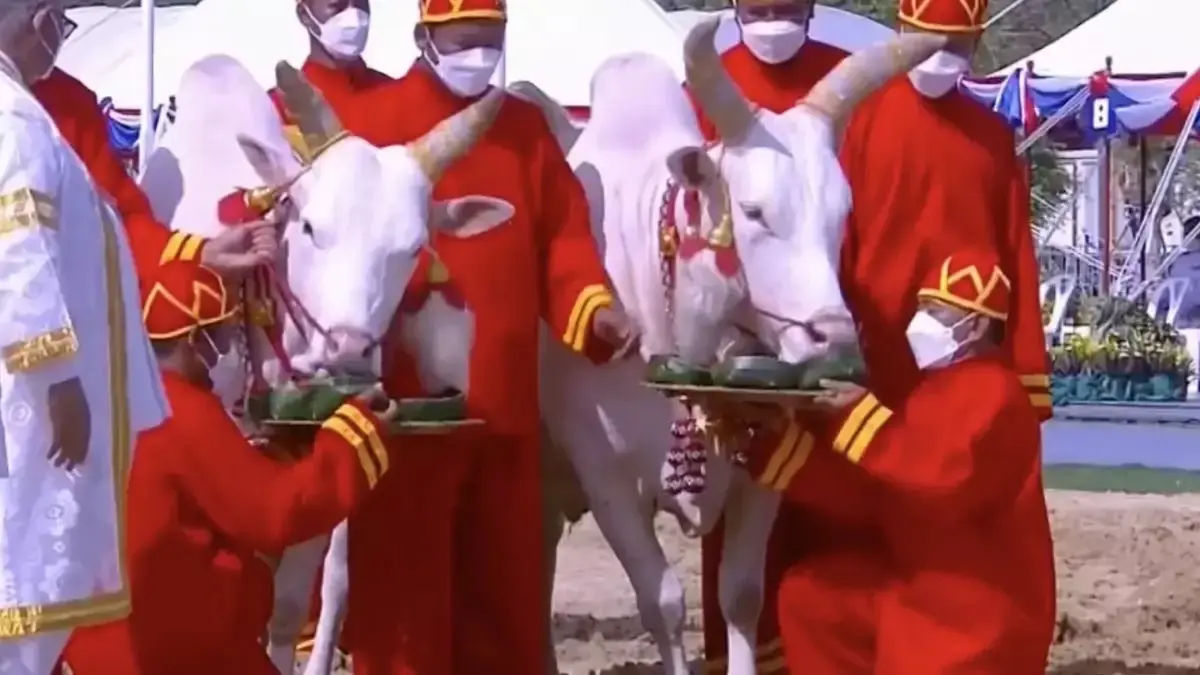 ลงทะเบียนรับพันธุ์ข้าวพระราชทานออนไลน์ วันพืชมงคลได้แล้ววันนี้ – 3 พ.ค.66