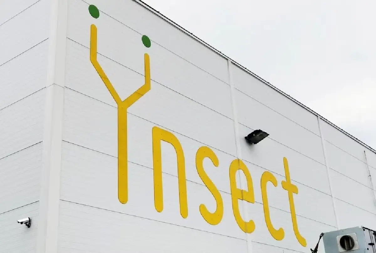 Ynsect เล็งรุกตลาดโปรตีนจาก ‘แมลง’ อีกครั้ง หลังได้รับการระดมทุน