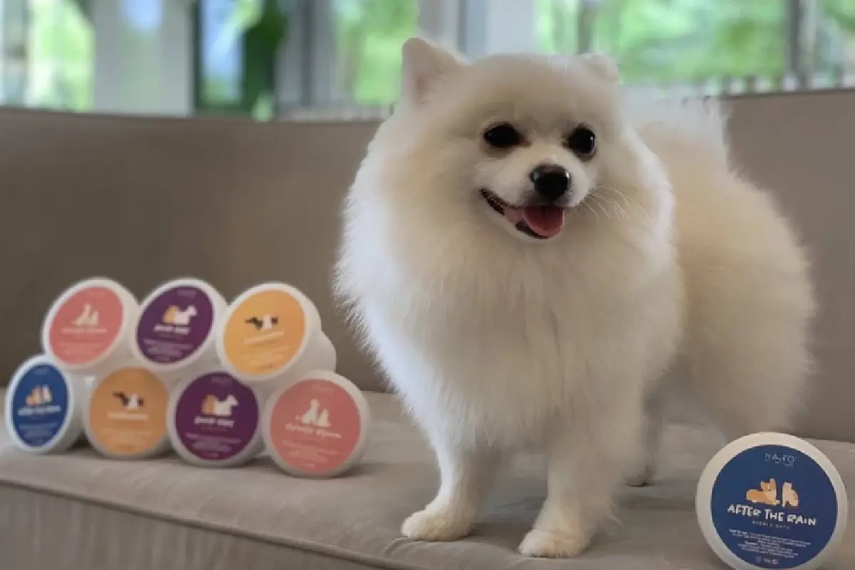 อาร์เอส กรุ๊ป ทุ่ม 100 ล้าน รุกธุรกิจ Pet Wellness