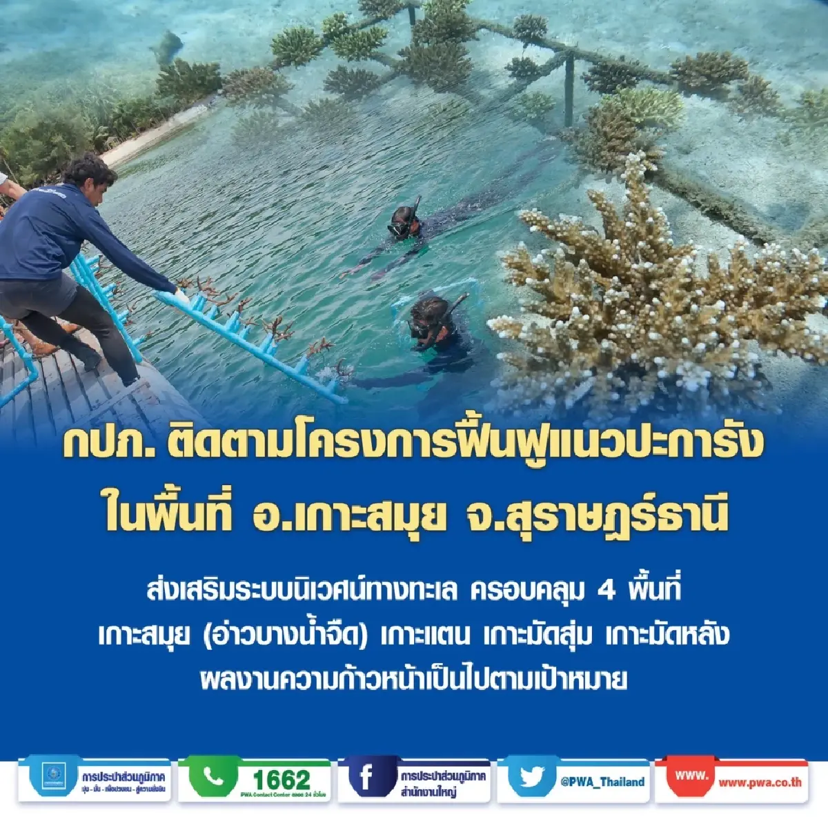 กปภ. ติดตามโครงการฟื้นฟูปะการังเกาะสมุย ผลงานน่าชื่นใจ