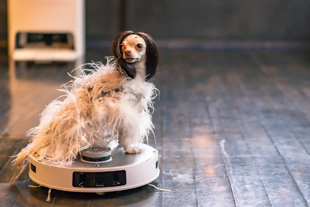 ECOVACS เปิดตัว DEEBOT T20 OMNI หุ่นยนต์ดูดฝุ่นอัจฉริยะรุ่นใหม่