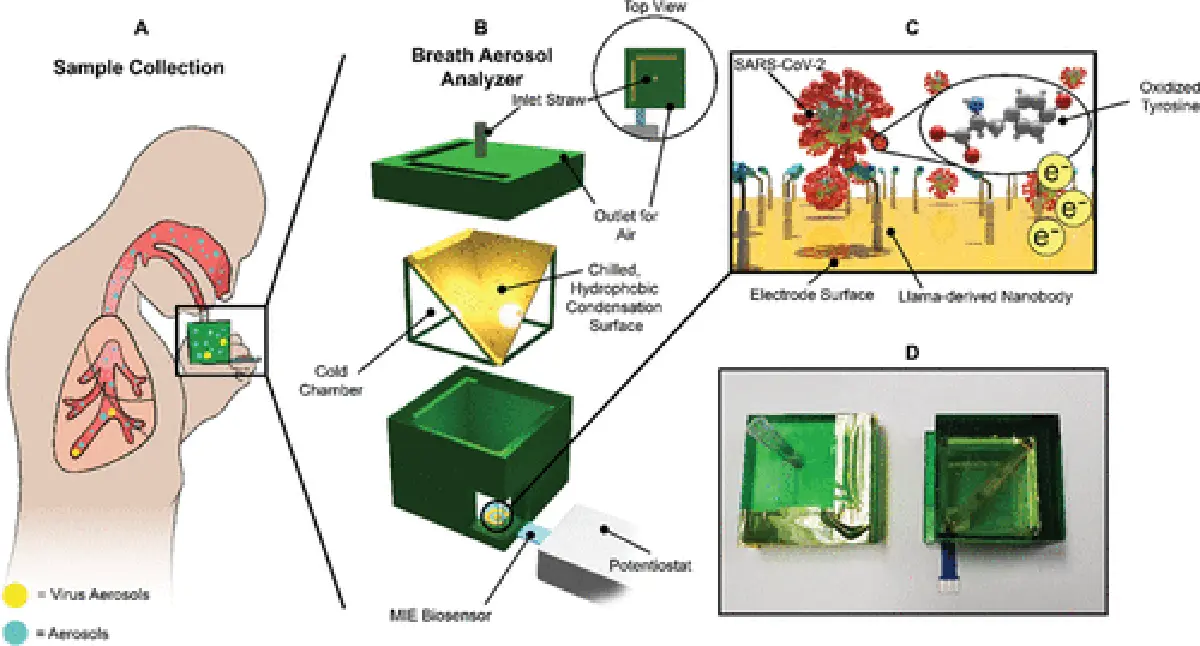 ไม่ต้องแหย่จมูก อุปกรณ์ตรวจโควิดผ่านลมหายใจทราบผลภายใน 1 นาที