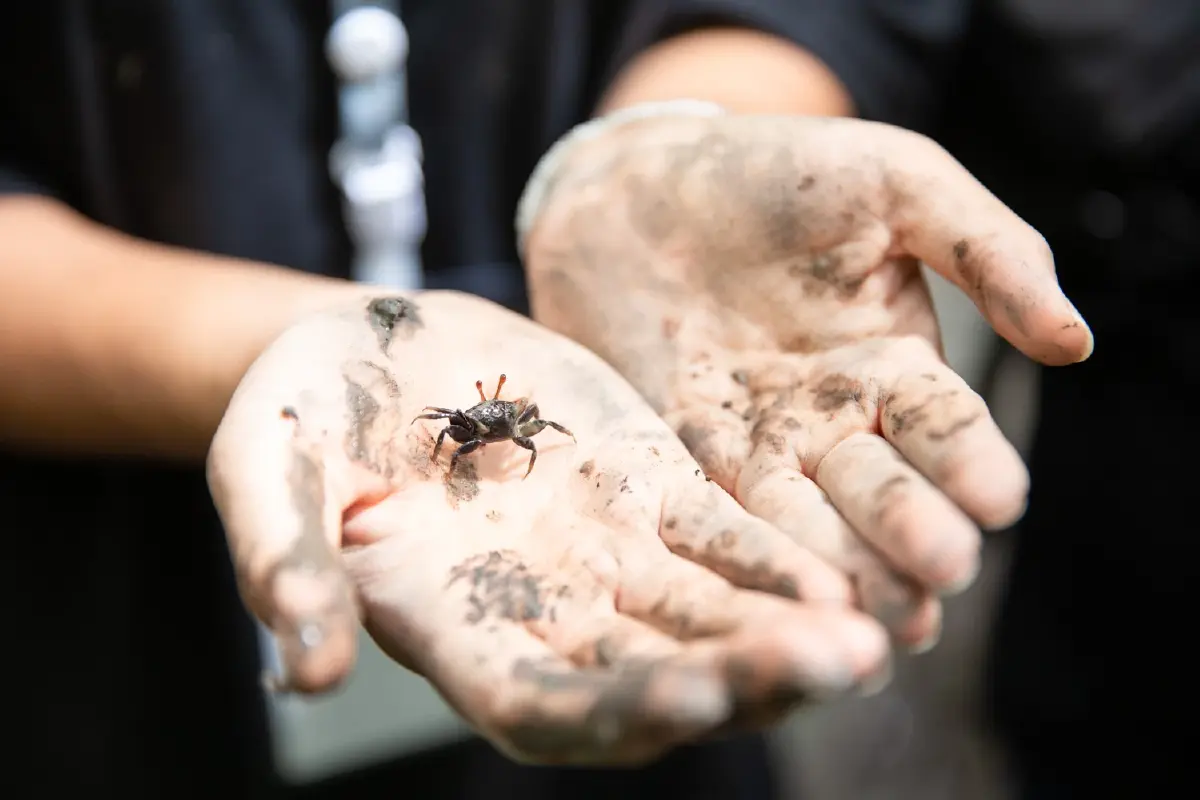 ค่ายวิทยาศาสตร์ไม่ได้จำกัดเฉพาะเด็กวิทย์!