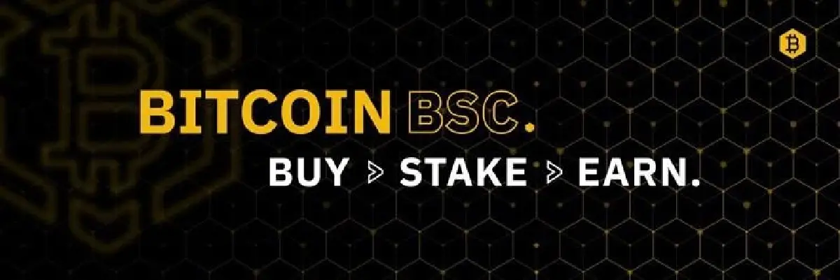 ข่าว FTX นักลงทุนกังวล Crypto Crash พวกเขาจึงหันมาลงทุนใน Bitcoin BSC