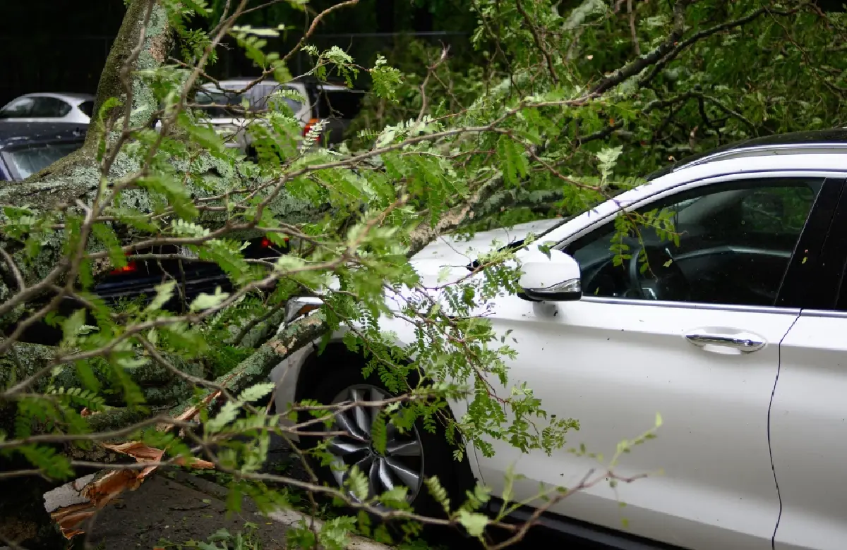 ทำประกันภัยภาคสมัครใจต้องทำยังไงมีขั้นตอนอะไรบ้าง