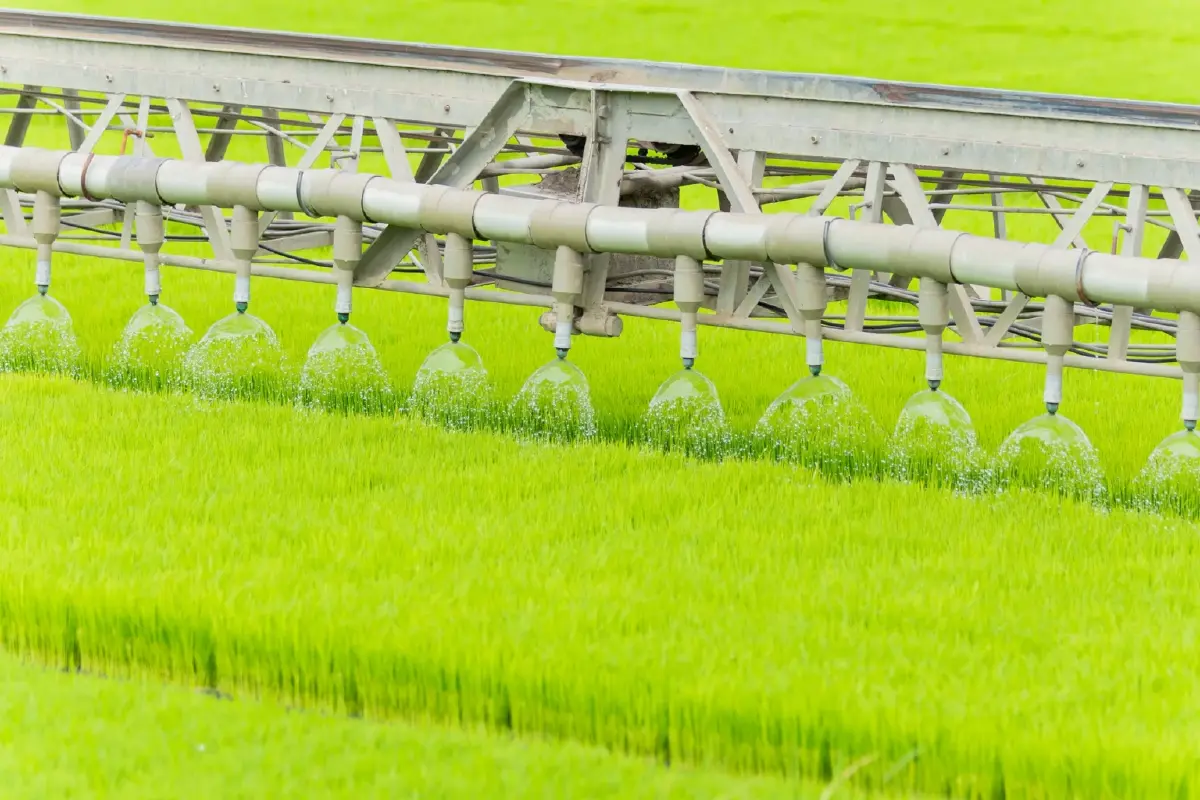 “แอปพลิเคชันคันนา” บริหารแปลงเกษตร หนุนการปลูกเปียกสลับแห้ง