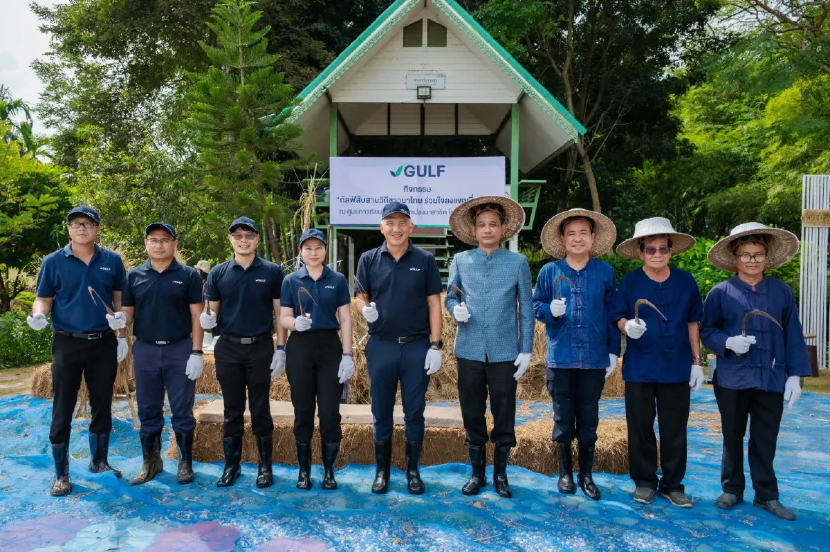 บริษัท กัลฟ์ เอ็นเนอร์จี ดีเวลลอปเมนท์ จำกัด (มหาชน) นำโดย นายธนญ ตันติสุนทร (ที่ 5 จากซ้าย) รองกรรมการผู้จัดการใหญ่ สายงานธุรกิจระบบโครงสร้างพื้นฐานและโลจิสติกส์ พร้อมด้วย นางสาวญาณิศา วัฒนคำนวณ (ที่ 4 จากซ้าย) ผู้อำนวยการด้านการบริหารสายงานสื่อสารองค์กร จัดกิจกรรม “สืบสานวิถีชาวนาไทย ร่วมใจลงแขกเกี่ยวข้าว” โดยมี นายดุรงค์ฤทธิ์ ศิริวัฒนพันธ์ (ที่ 6 จากซ้าย) ปลัดจังหวัดสระบุรี เป็นประธานในพิธี ณ ศูนย์การเรียนรู้เกษตรและแปลงนาสาธิต โรงไฟฟ้าหนองแซง จ.สระบุรี