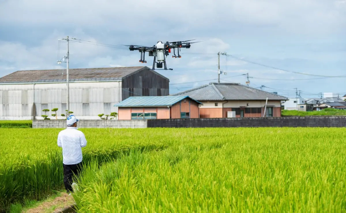 เล่าเรื่อง Smart Farming แบบญี่ปุ่น ต้นแบบและแนวทางเทคโนโลยีฟาร์มอัจฉริยะ