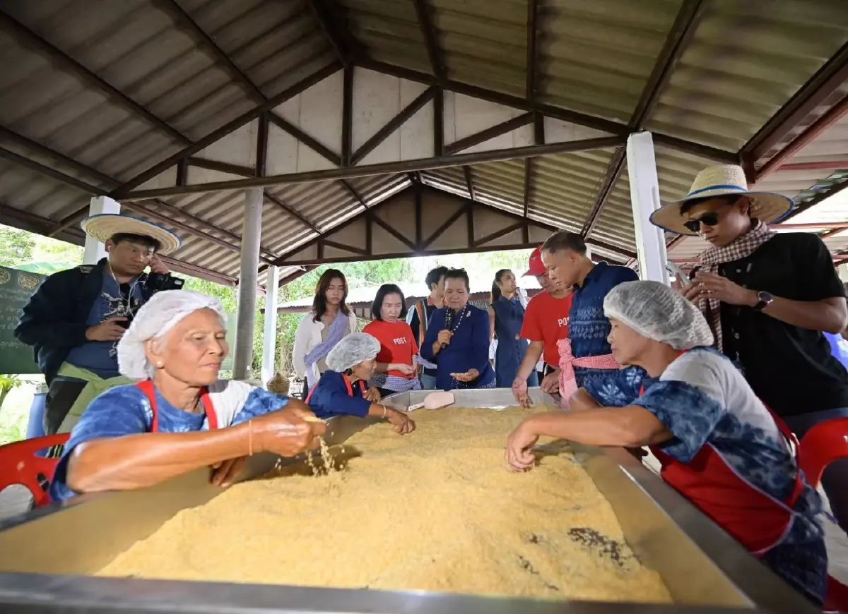 ข้าวฮางทิพย์ สกลฯ ปั้นแบรนด์ผ่าน 3 High รุกตลาดพรีเมียม สู่วิสาหกิจเงินล้าน