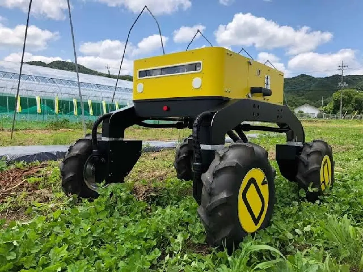 เล่าเรื่อง Smart Farming แบบญี่ปุ่น ต้นแบบและแนวทางเทคโนโลยีฟาร์มอัจฉริยะ