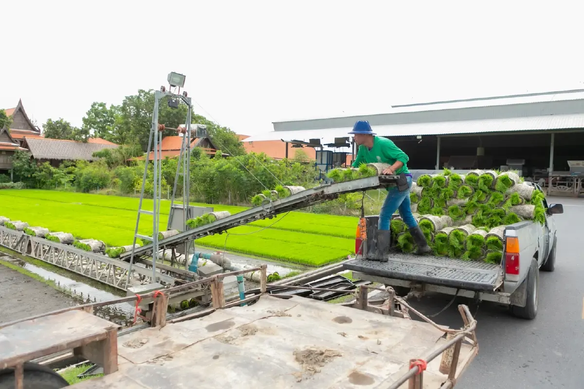 “แอปพลิเคชันคันนา” บริหารแปลงเกษตร หนุนการปลูกเปียกสลับแห้ง