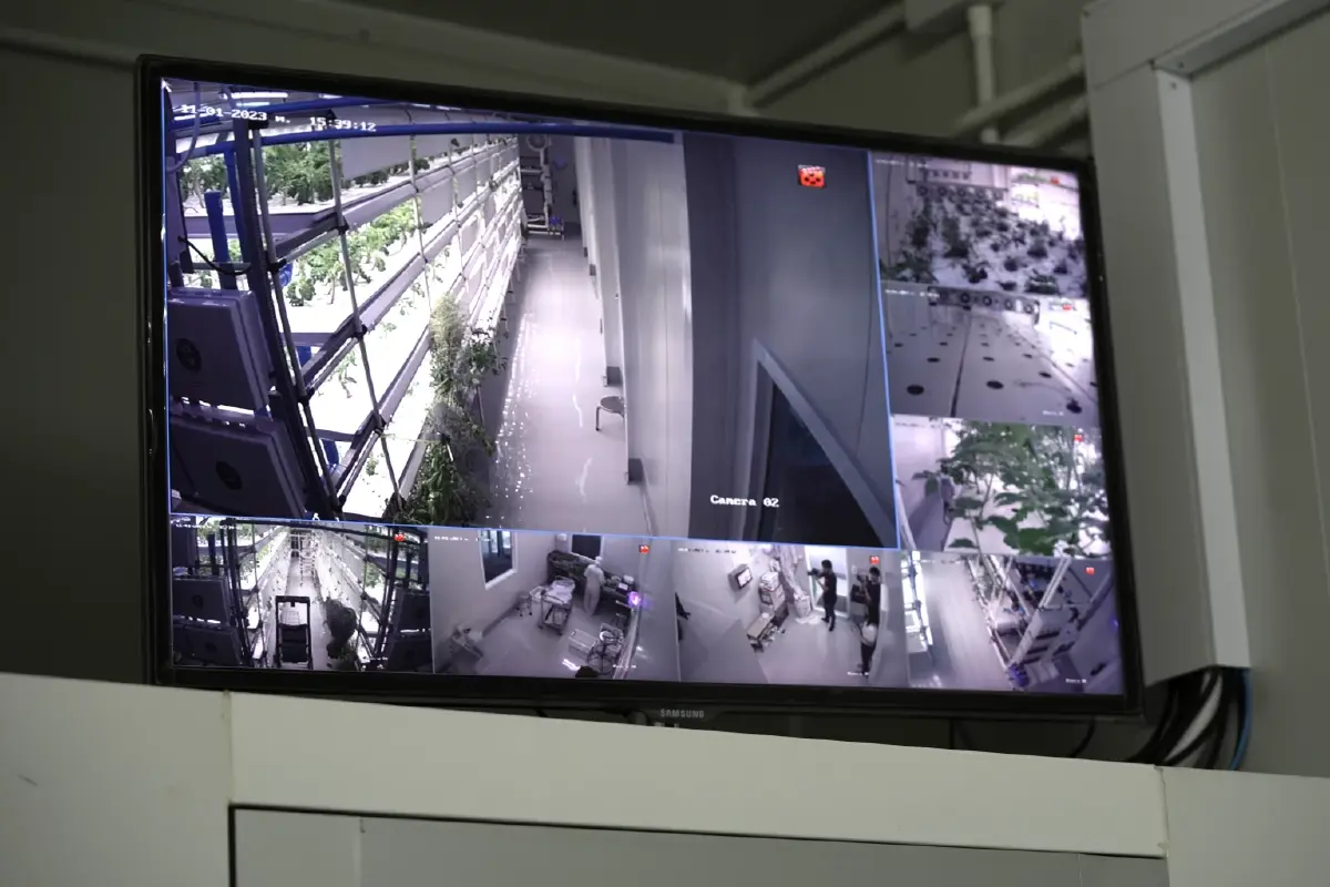 Plant Factory บทใหม่เกษตรกรไทย เลือกปลูกพืชได้ตามใจ สร้างมูลค่าหนีคู่แข่ง