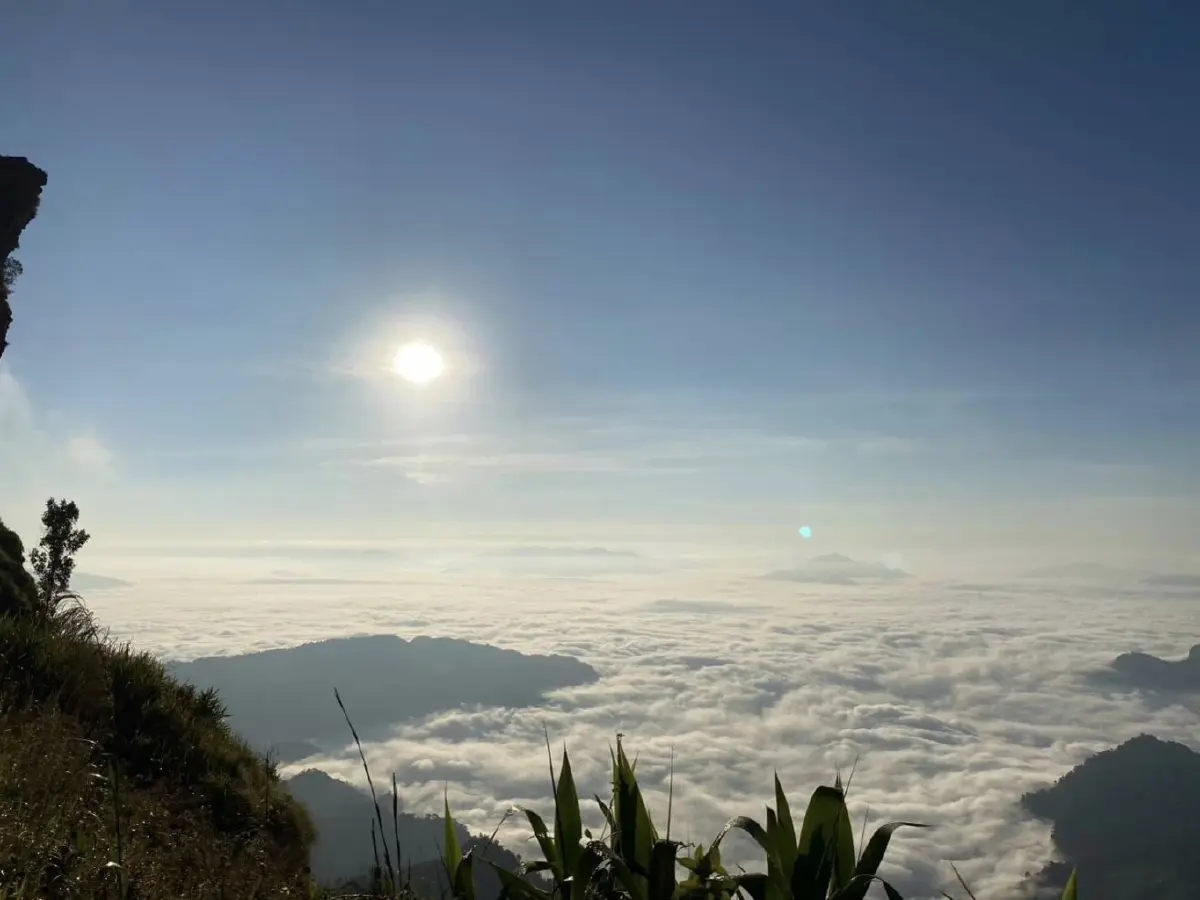 "หนาวนี้เที่ยวอุทยานแห่งชาติ แจกบัตรเที่ยวอุทยานฯ ฟรี! 1ปี