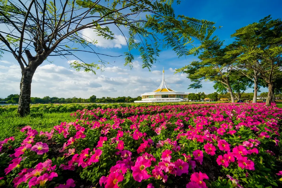 เที่ยวส่งท้ายปี รับบรรยากาศธรรมชาติ กับ งานพรรณไม้งามอร่ามสวนหลวง ร.๙