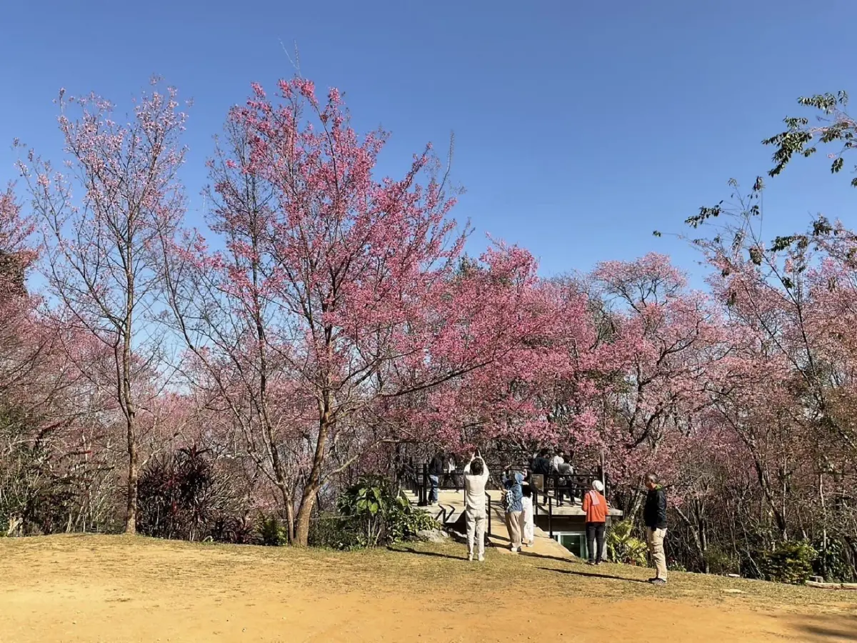 "หนาวนี้เที่ยวอุทยานแห่งชาติ แจกบัตรเที่ยวอุทยานฯ ฟรี! 1ปี