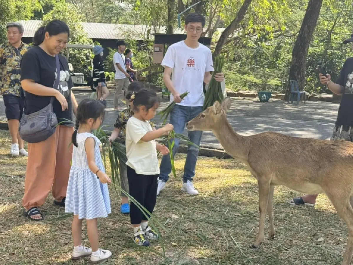 สวนสัตว์เปิดเขาเขียว จัด "วันดินโลก" ชวนนำแก้วแลกกล้าไม้ฟรี!
