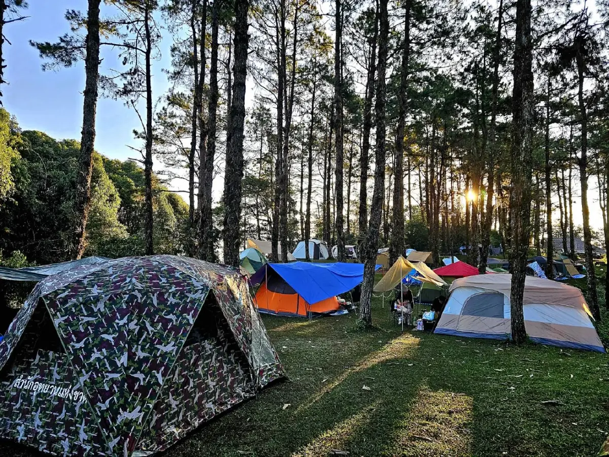 นักท่องเที่ยวล้นอุทยานฯห้วยน้ำดังรอรับเคาท์ดาวน์ปี67