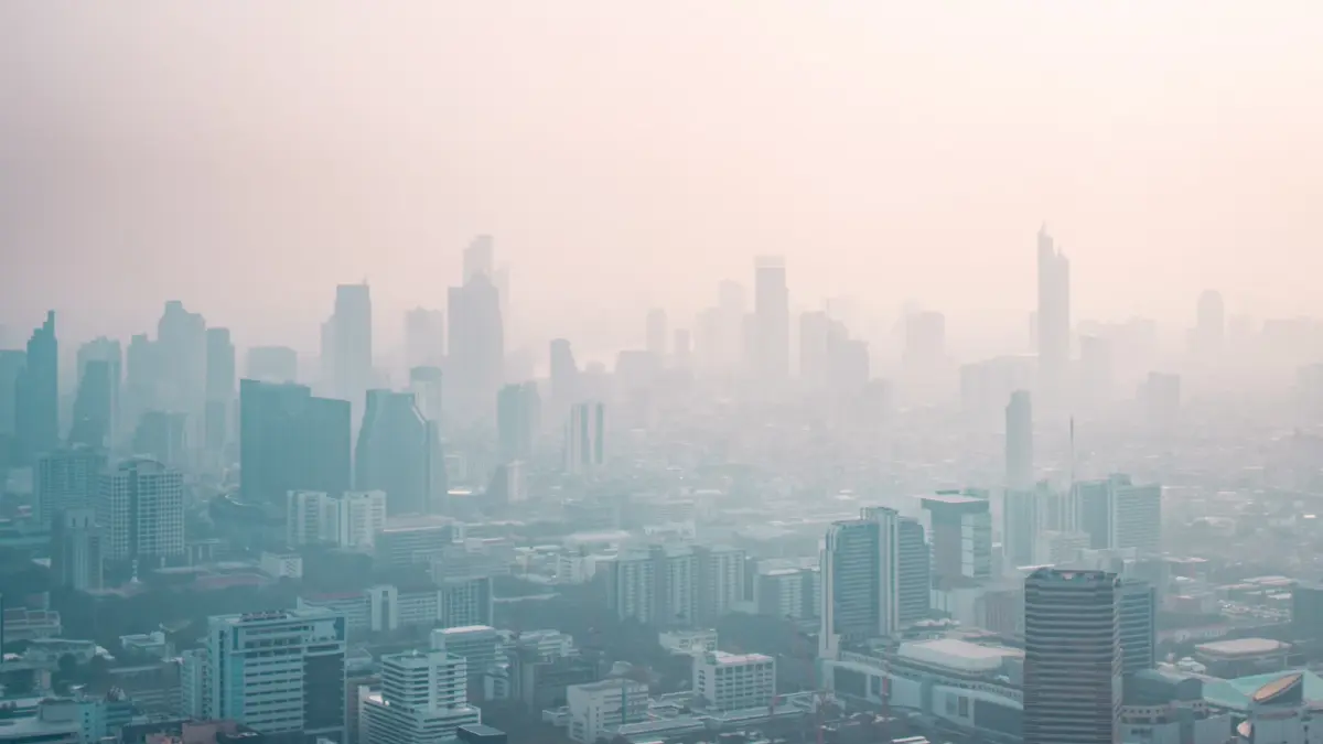 finbiz by ttb เผย 4 ปัจจัยจาก Climate Change สะเทือนภาคธุรกิจต้องเร่งปรับตัว