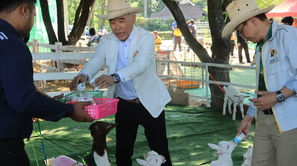 สุวัจน์ ชวนเที่ยว มหัศจรรย์ 100 ไร่ ราชภัฏโคราช เล็งดัน เนื้อแพะ สร้างเศรษฐกิจ