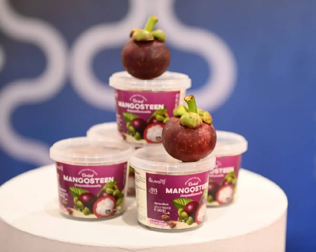 ก.พาณิชย์ ดัน SME ค้ามังคุดใต้ บุกตลาดเอเชีย โกยเงินเข้าประเทศ 65 ล้านบาท