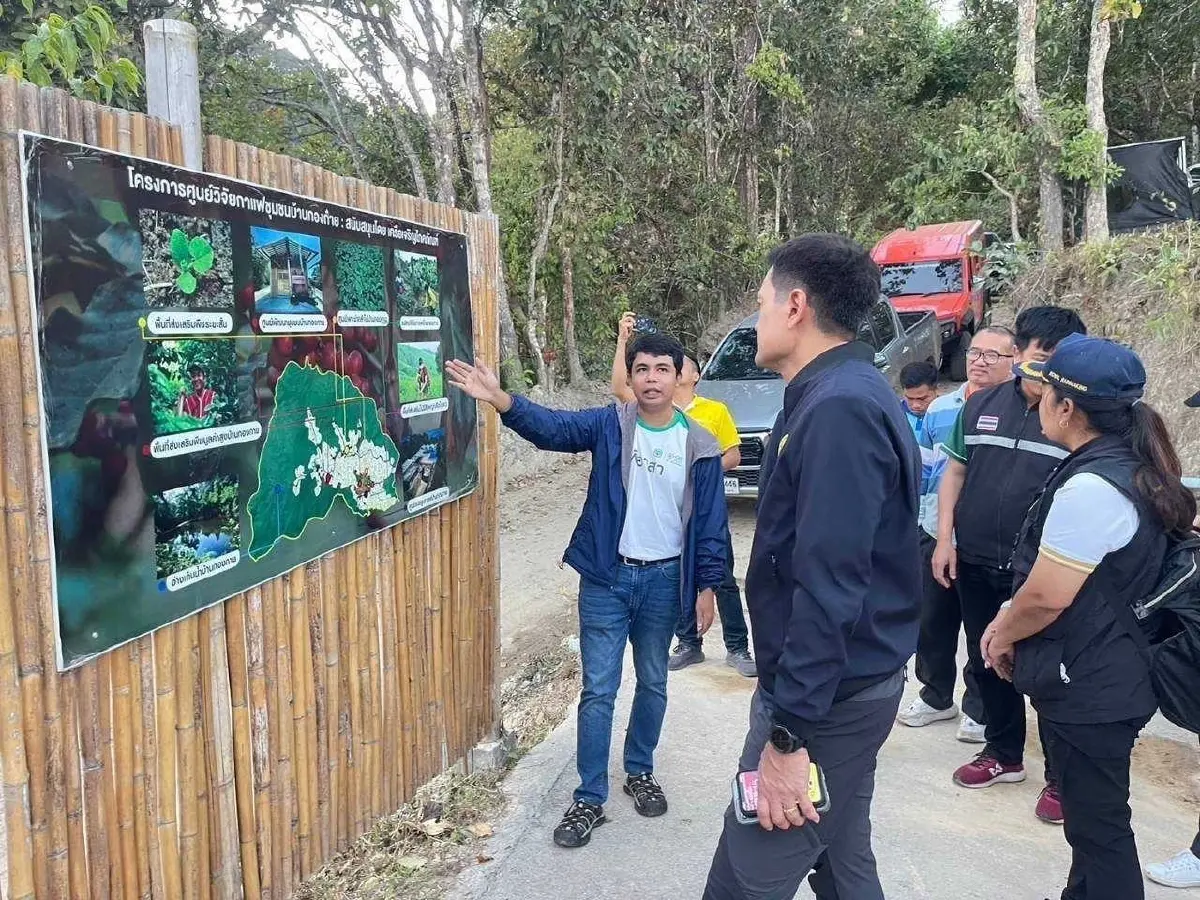 เปิดโมเดล ศูนย์วิจัยกาแฟชุมชนบ้านกองกาย ชูต้นแบบ “กาแฟฟื้นฟูป่า”