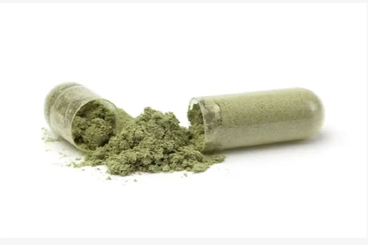 เปิดนโยบาย “สิทธิชัย แดงประเสริฐ” ดันสมุนไพรไทยสู่ซอฟต์เพาเวอร์