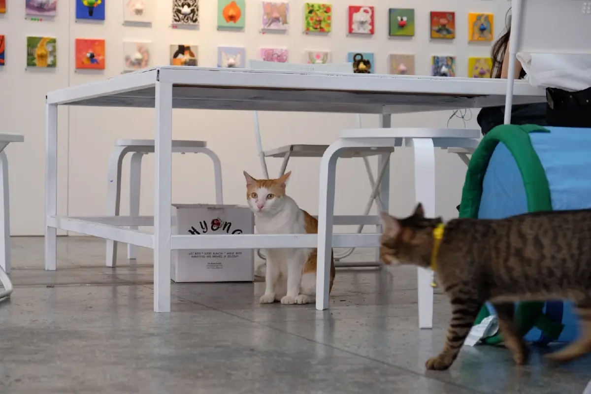 ผนึกกำลังสร้างสรรค์เมืองน่าอยู่ใต้แนวคิด  ‘คนยิ่งทำ เมืองยิ่งดี’
