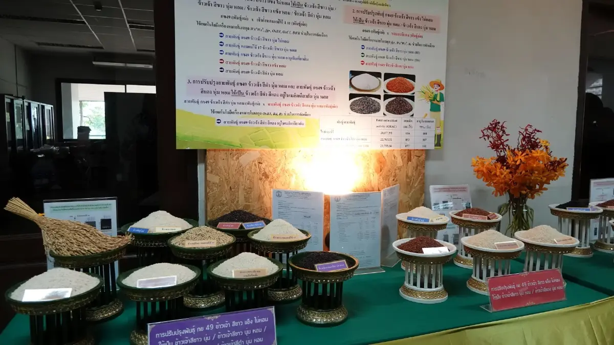 สกสว.ทุ่ม 1.9 หมื่นล.ปั้น ม.แม่โจ้ สู่ลีดเดอร์ สร้างเกษตรทันสมัย