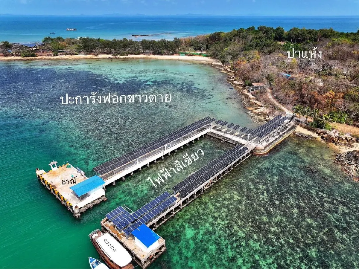 สถานการณ์เกาะมันในไม่สู้ดี! เหตุเอลนีโญผนึกโลกร้อน ทำทะเลเดือด