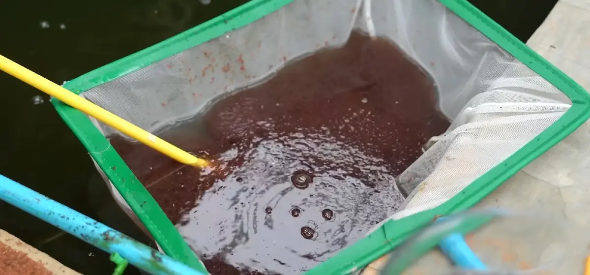 “ แดรี่โฮม ” ต้นแบบธุรกิจเพื่อความยั่งยืน หนุนเกษตรกรพ้นเส้นความยากจน