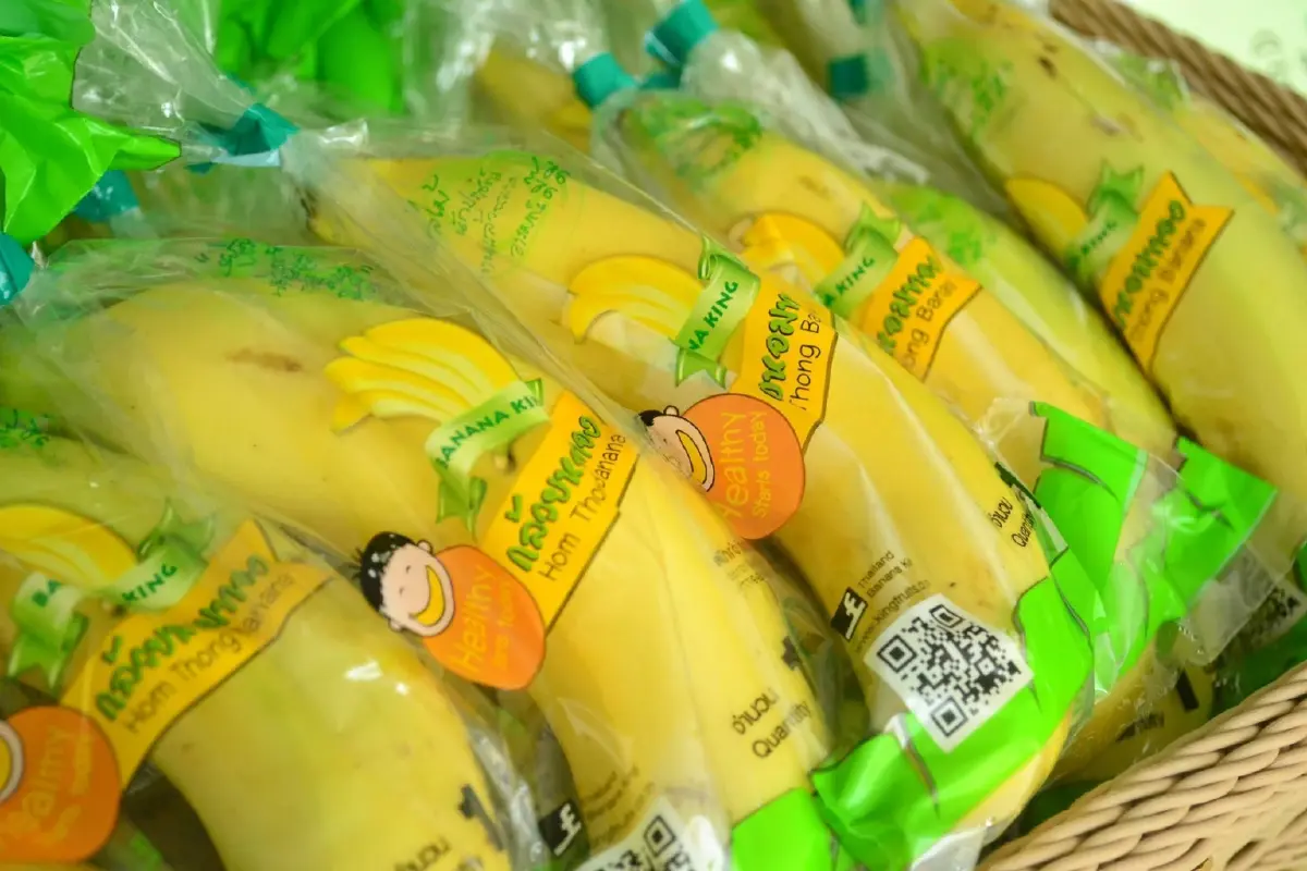 เสาวณี วิเลปะนะปลูกคิง ฟรุทส์สืบต่อการเกษตรส่งบานาน่า ไซเดอร์ ปูฐานต่างแดน