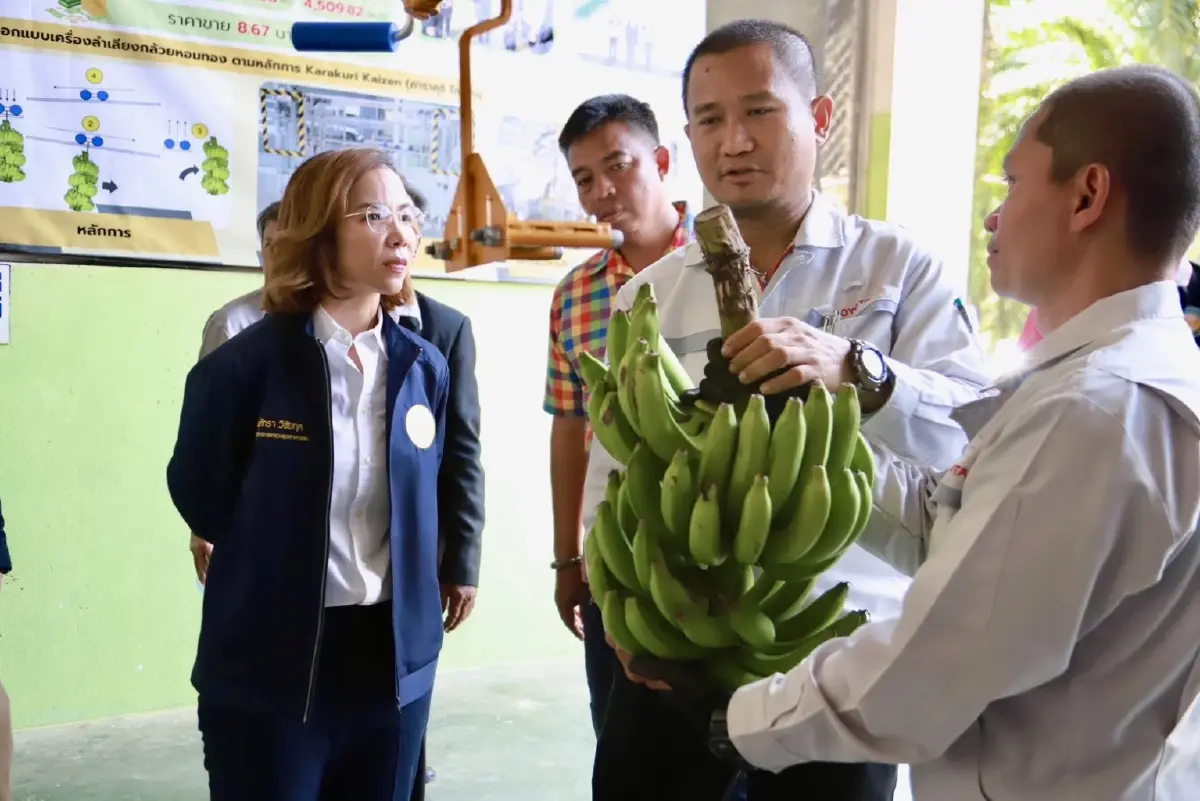 'พิมพ์ภัทรา'สั่งยกระดับธุรกิจชุมชนชูต้นแบบเครื่องทุ่นแรงผู้สูงอายุ