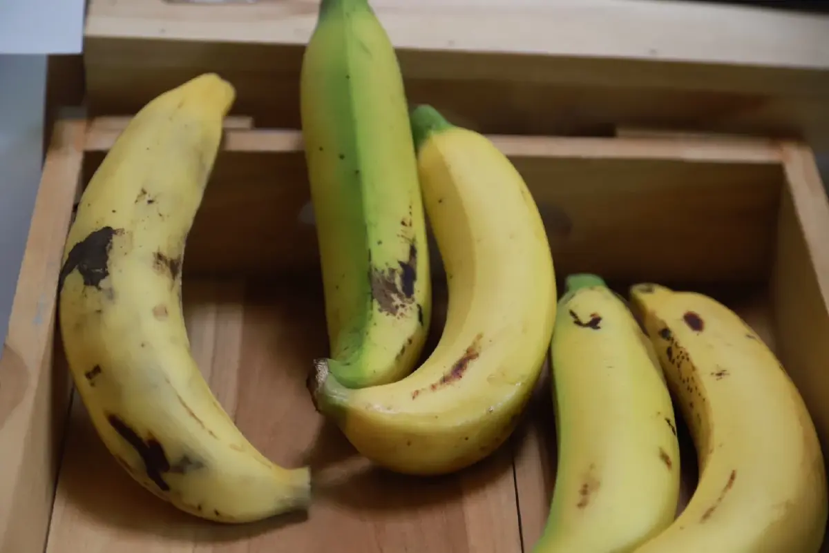 'พิมพ์ภัทรา'สั่งยกระดับธุรกิจชุมชนชูต้นแบบเครื่องทุ่นแรงผู้สูงอายุ