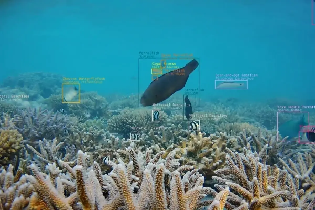 Google Maps ปล่อยฟีเจอร์ใหม่ถนอมโลก ใช้ AI แนะเส้นทางประหยัดน้ำมันมากที่สุด