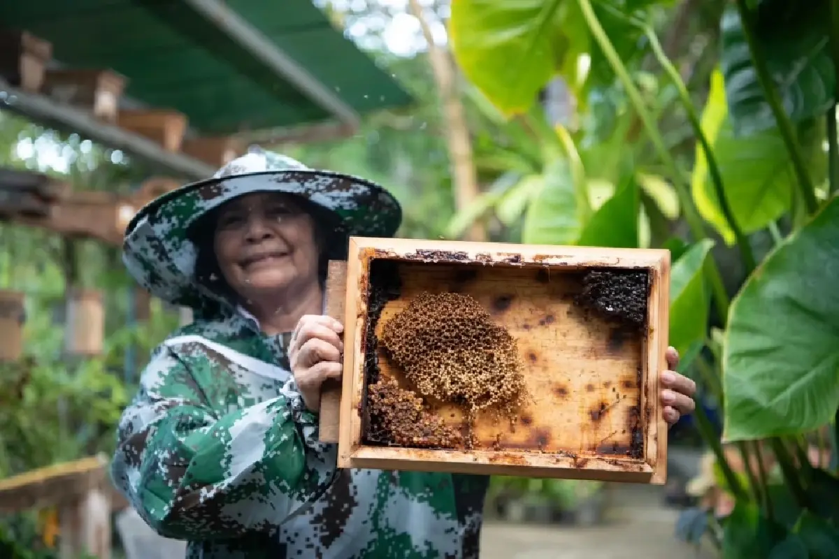 SCGC เปิดตัวโมเดล “มหัศจรรย์ชุมชน” สร้างอาชีพ ตามหลักพึ่งพาตัวเอง