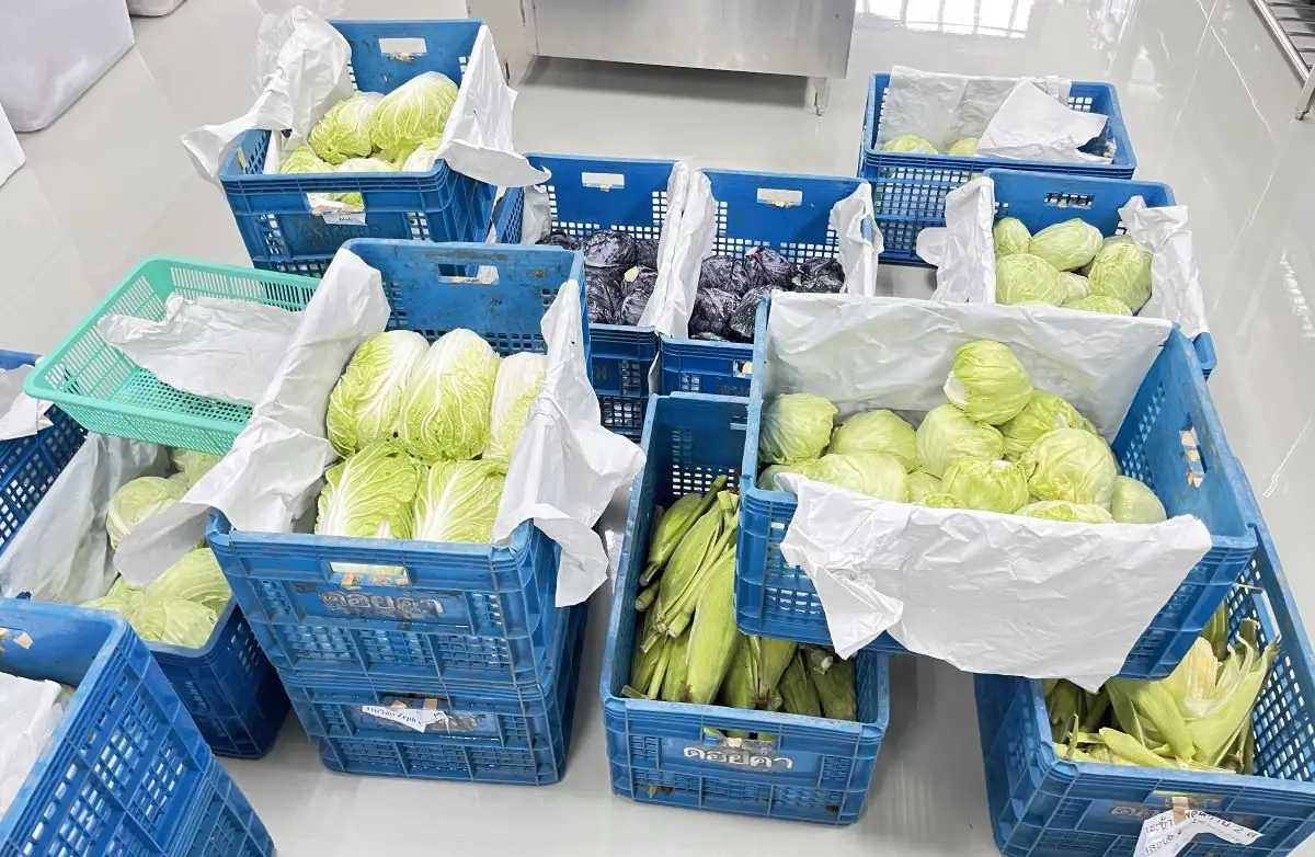 ผลักดัน “รถไฟ” เป็นระบบโลจิสติกส์พาณิชย์ยั่งยืน ชูจุดเด่น “คาร์บอนเครดิต”