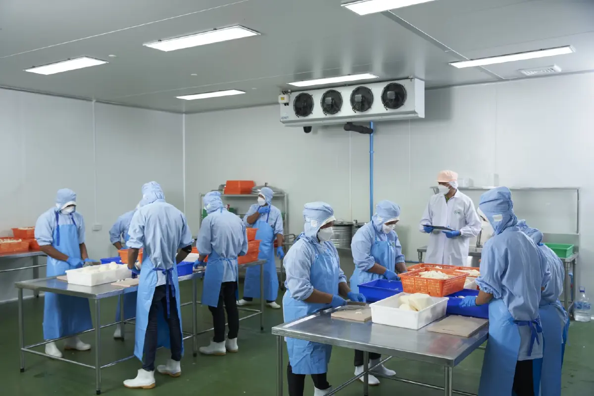 เสาวณี วิเลปะนะปลูกคิง ฟรุทส์สืบต่อการเกษตรส่งบานาน่า ไซเดอร์ ปูฐานต่างแดน