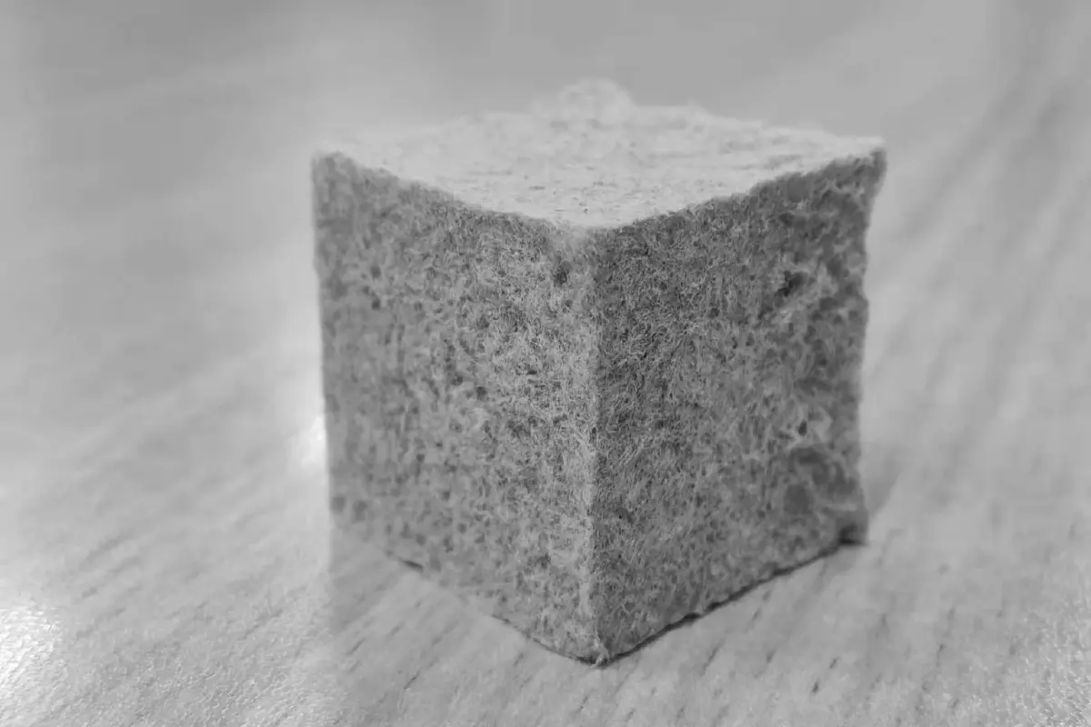 โฟมรูปแบบใหม่จากการรีไซเคิลกล่องกระดาษ แนวทางแก้ปัญหาขยะ E-Commerce