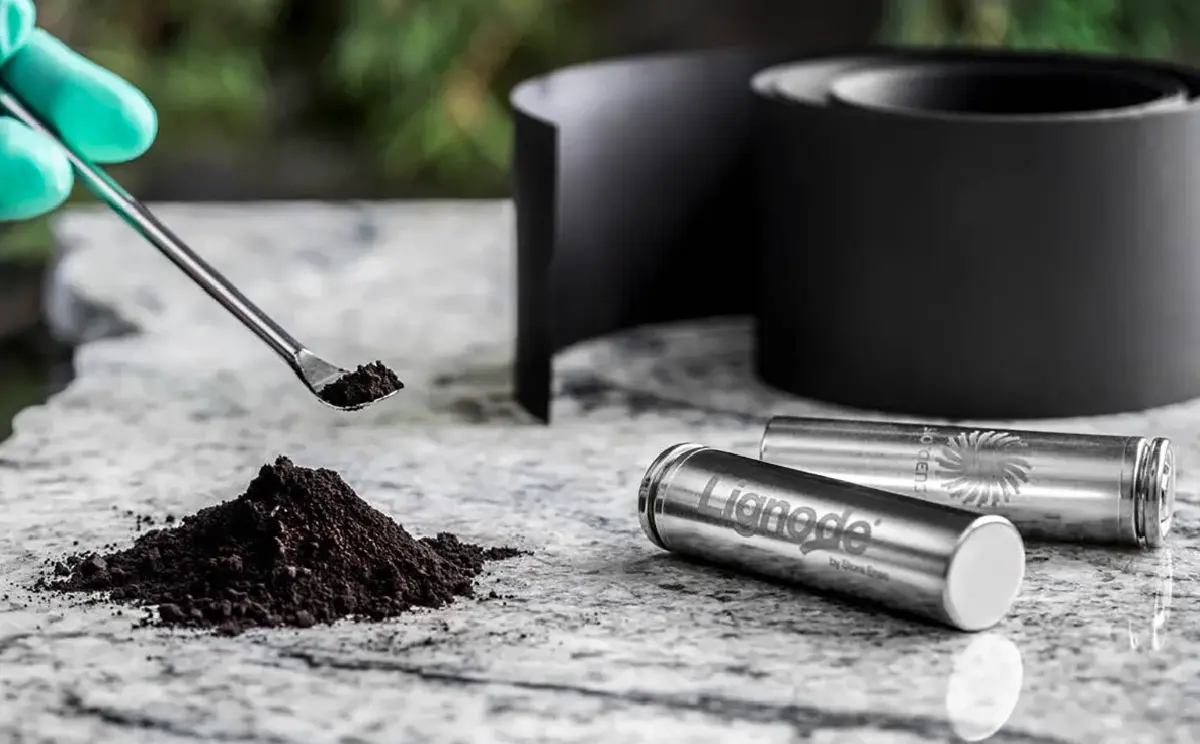 ครั้งแรกของโลก เมื่อขั้วแบตเตอรี่ผลิตด้วยวัสดุที่ได้จากไม้