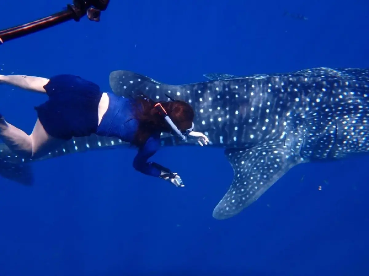 (ภาพ) เส้นทางท่องเที่ยวอันซีน อ.ปะทิว ชุมพร ยกออฟฟิศไปเอ้าท์ติ้งได้เลย