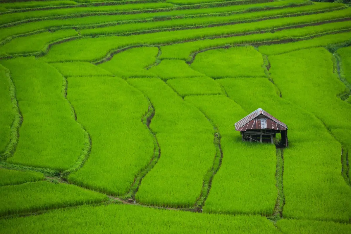 กทม.ยืนหนึ่งคนแห่เที่ยวมากสุดหยุดยาวเดือน ก.ค.67 รายได้รวม 18,360 ล้านบาท