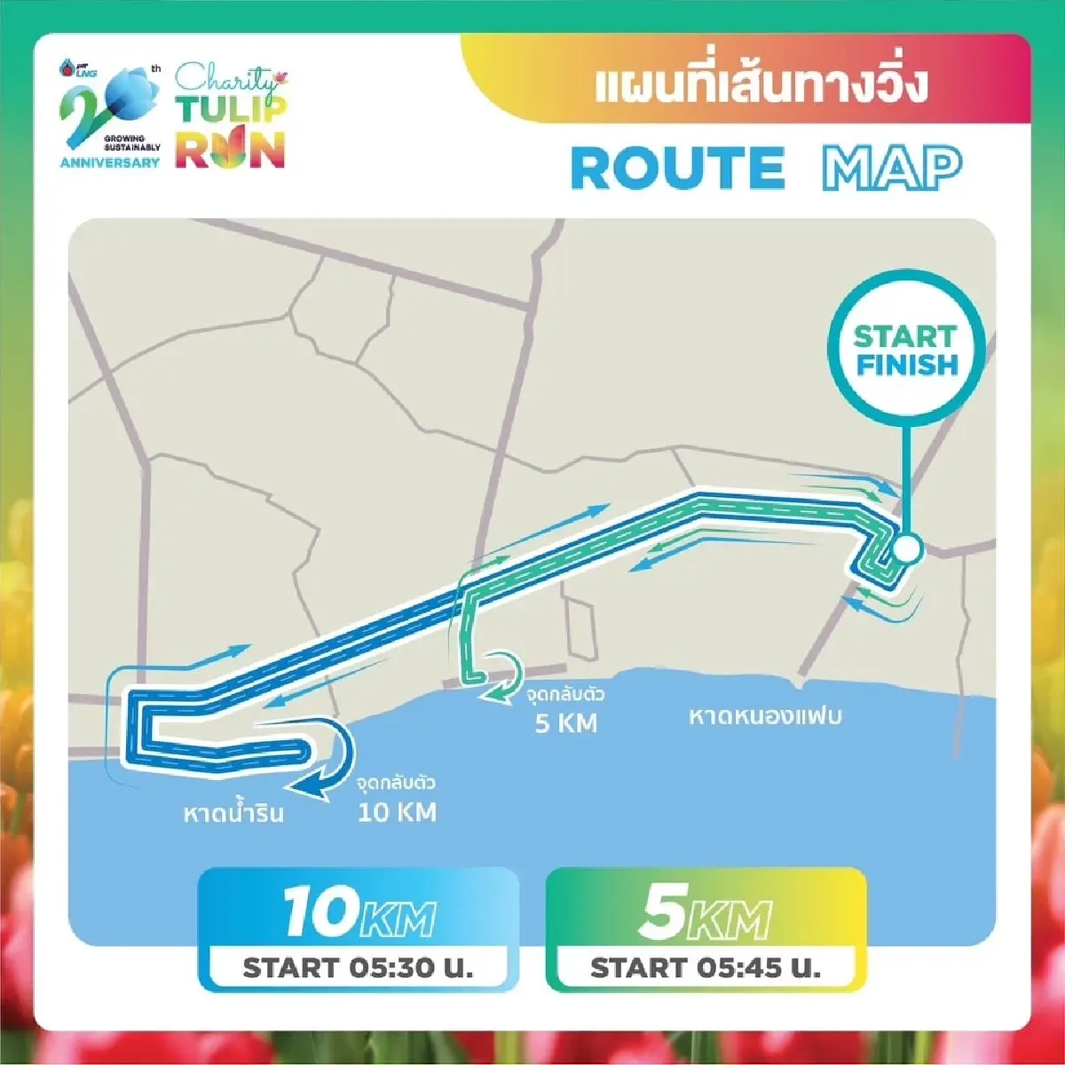 วิ่งมาราธอนผ่านทุ่งดอกทิวลิปบานสะพรั่งจากพลังงานความเย็น LNG โดย PTTLNG