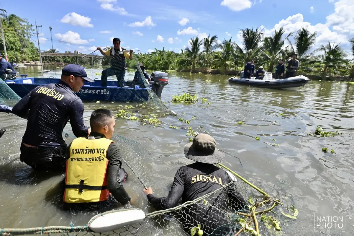 เปิดที่มา "ปลาหมอสีคางดำ” เอเลี่ยนสปีชีส์ ถูกลักลอบเข้าไทยนานเกือบ 20 ปี
