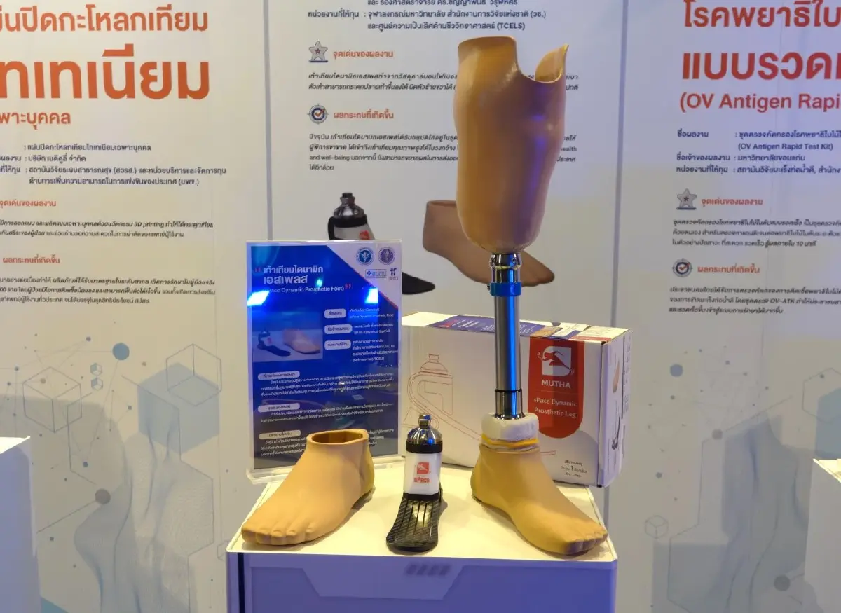 เท้าเทียมไดนามิกส์